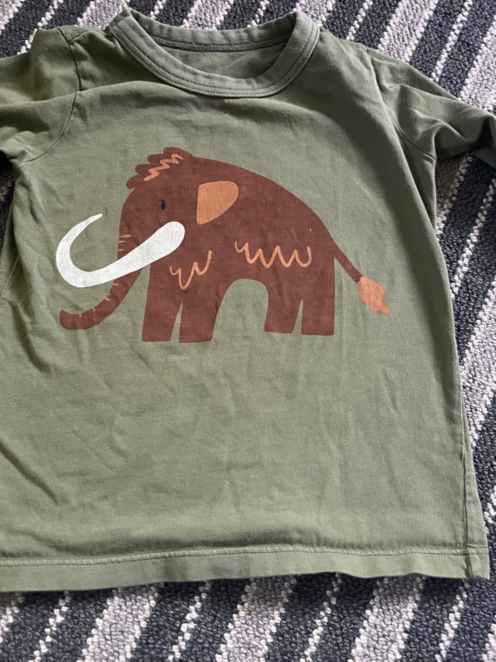 Winter water factory Green Long-Sleeve Kids Tee with Mammoth Graphic 2t